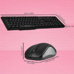 Zebronics COMPANION-107 Wireless Laptop Keyboard Mouse