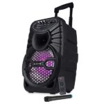 ZEBRONICS ZEB-100 Bluetooth Trolley Speaker