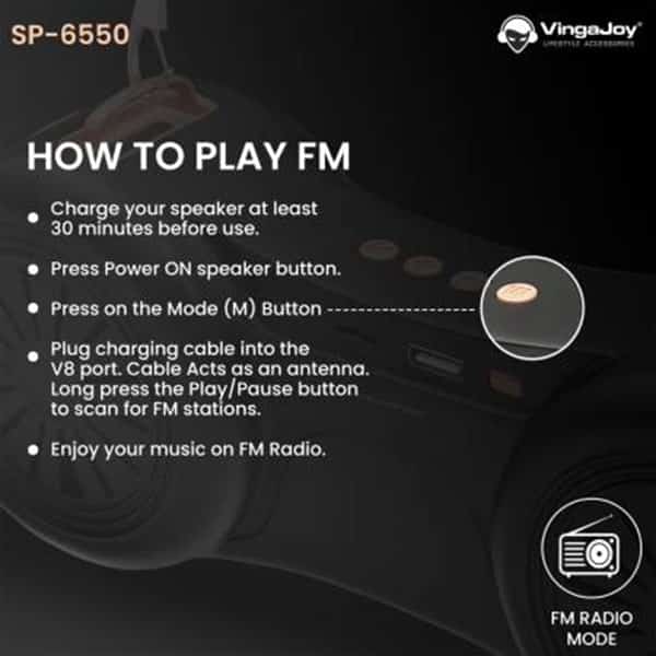 VingaJoy SP-6550 Auto Beat Portable Wireless Speaker
