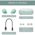Sony WF-C500 Truly Wireless In-Ear Bluetooth Earbud Headphones