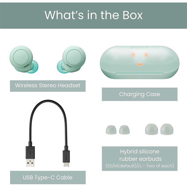 Sony WF-C500 Truly Wireless In-Ear Bluetooth Earbud Headphones