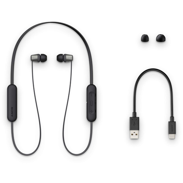 Sony WI-C310 Wireless Headphones