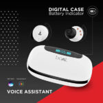 boAt Airdopes 621 True Wireless Earbuds