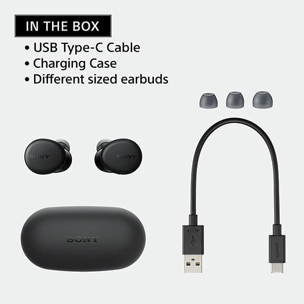 Sony WF-XB700 Bluetooth Wireless Earbuds