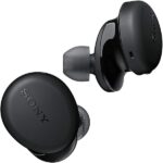 Sony WF-XB700 Bluetooth Wireless Earbuds
