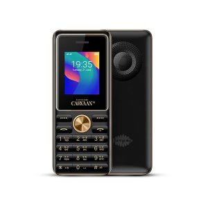 Saregama Carvaan Mobile Keypad Phone M11