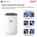 OR Pay by link: https://rzp.io/l/F3EgMEzgN (Also Check COD Policy - https://www.shopyvision.com/cod-policy/)