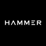 Hammer logo