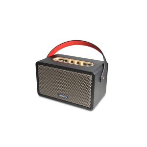 Aiwa RS-X 100 Natsukasii Pro Speaker
