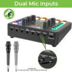 UltraProlink UM1002PRO Sing Along Karaoke Bluetooth Mixer with Karaoke Microphone