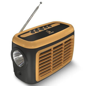 iGear Goldie Radio and Bluetooth Speaker With In -Built Mic