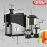 Maharaja Whiteline Plastic Odacio Plus 550-Watt Juicer Mixer Grinder