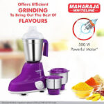 Maharaja Whiteline Stellar Plus Mixer Grinder