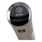 Sharp IG-GC2E-N Portable Car Air Purifier