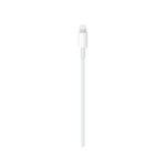 Apple USB-C to Lightning Cable (1 M)