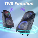 Zebronics JOLT Plus 100 Watts Trolley DJ Speaker