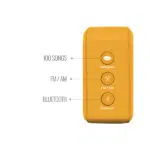 Saregama Carvaan Gurbani Music Player