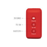 Saregama Carvaan Mini 2.0 Marathi Sadabahar Gaana Music Player