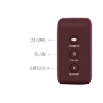 Saregama Carvaan Mini Rabindrasangeet Bluetooth Speaker