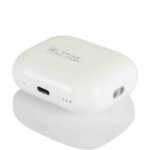 Swiss Military Pods Pro Max Type C Bluetooth Earbuds