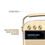 Saregama Carvaan SC130 Hindi Portable Music Player