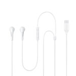 Samsung Original IC050 Type-C Wired in Ear Earphone with mic