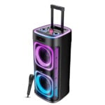 boAt PartyPal 700 300W Bluetooth Speaker with RGB Lights