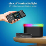 pTron Fusion Joy 20W Bluetooth Speaker with Wireless Karaoke Mic