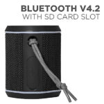 boAt Stone 170 5W Portable Bluetooth Speaker