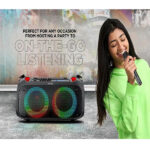 Intex Boombox 3000 Party Bluetooth Speaker