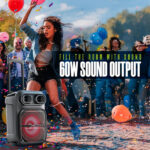 Intex Thriller 600 (S) Trolley Speaker With Karaoke Mic