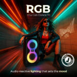 VIDA Boombox 100 100W Party Speaker with Party Bass Booster