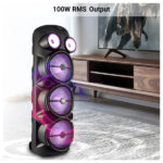 Zebronics Vigor 100 DJ Speaker