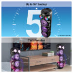 Zebronics Vigor 100 DJ Speaker