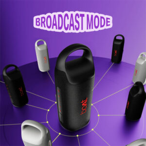 boAt Stone ARC Pro Portable Bluetooth Speaker with 25W Sound