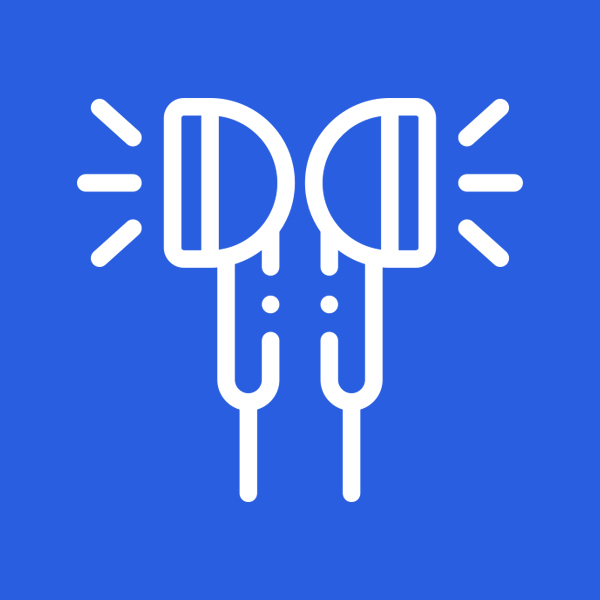 Audiophile Earphones