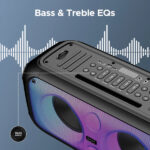 boAt Partypal 300 Bluetooth Speaker