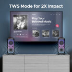 boAt Partypal 300 Bluetooth Speaker