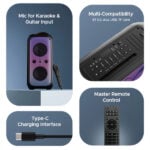 boAt Partypal 300 Bluetooth Speaker