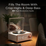 Pebble Disc Retro Bluetooth Speaker