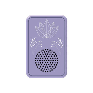 Saregama Carvaan Wellness Plug Play Outdoor Music Player
