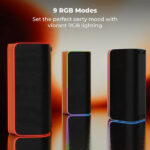 Zebronics Zeb Party Fyre 800 Bluetooth Speaker