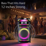 Philips TAX3004 300W Bluetooth Party Speaker with 2 Mic
