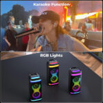 Zebronics Buddy 150 Wireless Portable Speaker