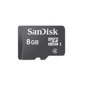 SanDisk Class 4 Micro SD Memory Card