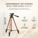 Digitek DTR 420LW Tripod With Holder