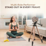 Digitek DTR 420LW Tripod With Holder