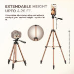 Digitek DTR 420LW Tripod With Holder