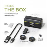 Digitek DWM-015 2-in-1 Wireless Microphone