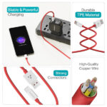 Ambrane 65W USB to Type C Fast Charging Cable